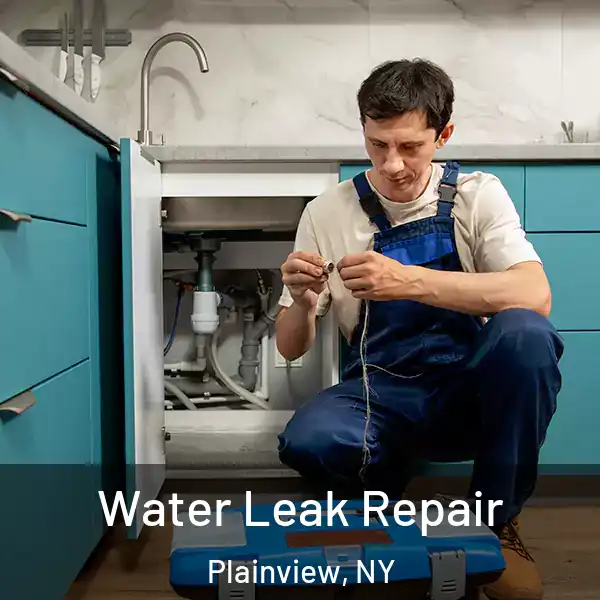 Water Leak Repair Plainview, NY